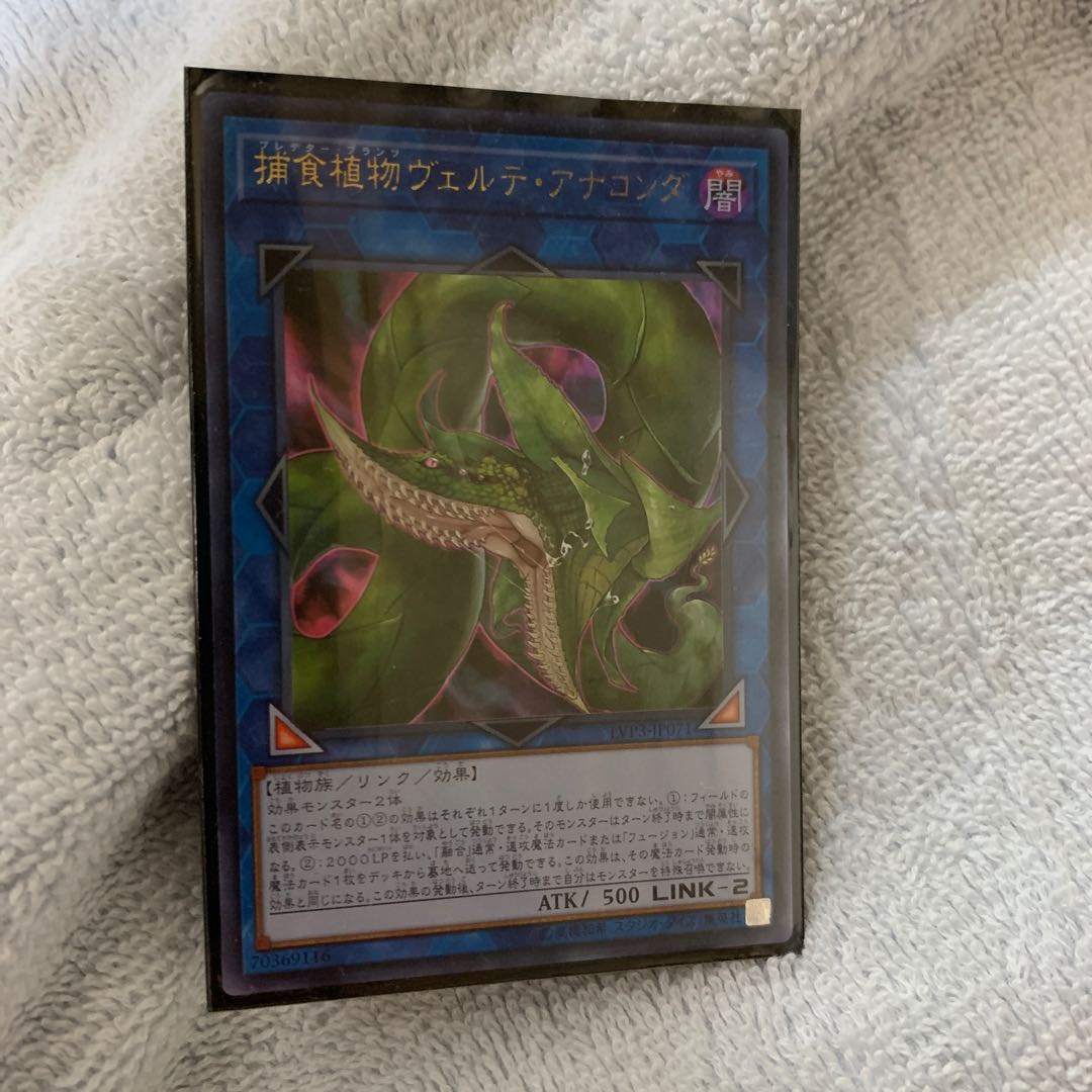 捕食植物ヴェルテ・アナコンダ