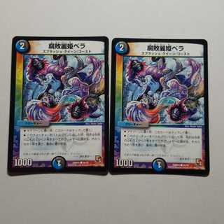 腐敗麗姫ベラ　2枚　最終値下げ