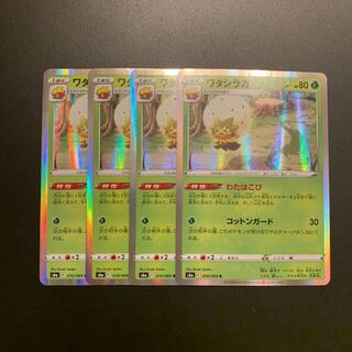 ワタシラガ R 4枚セット