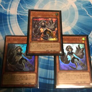 LL-Celeste Wagtail, 2 Super, 1 Sic.