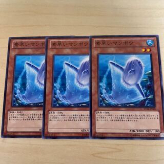 素早いマンボウ♧690