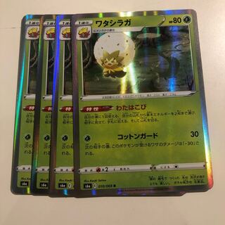 ワタシラガ　わたはこび　4枚