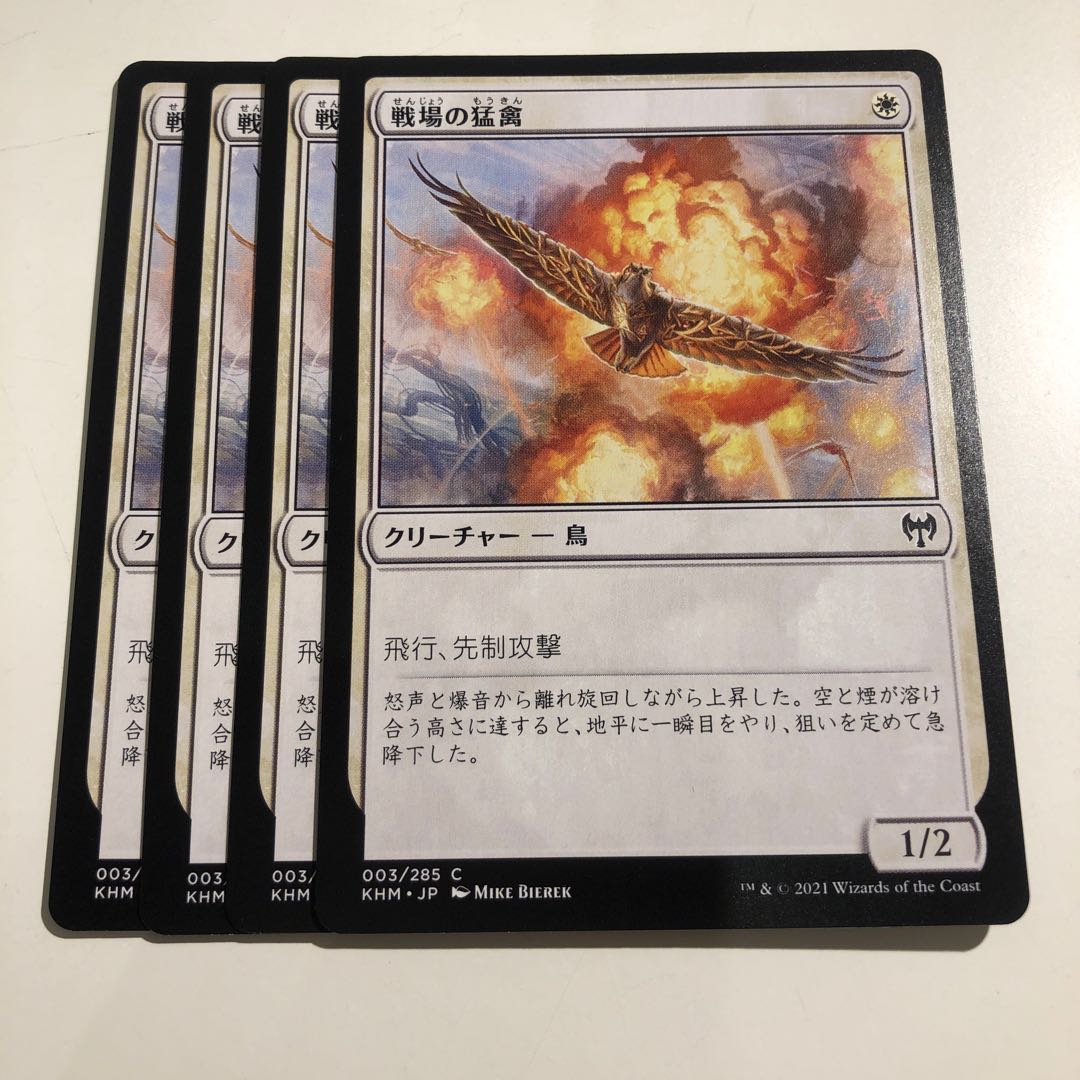 Battlefield Raptor 4 pieces