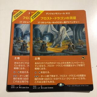 フロスト・ドラゴンの洞窟 ショーケース 2枚