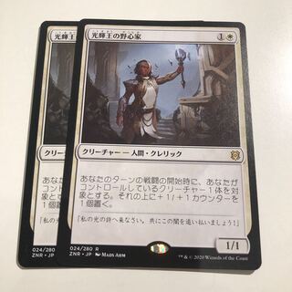 光輝王の野心家　2枚