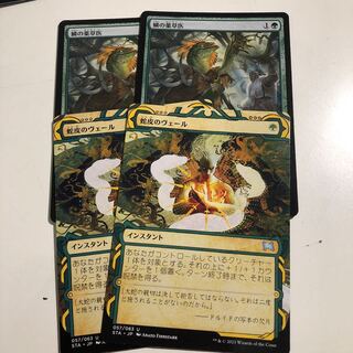 蛇皮のヴェール　鱗の薬草医　2枚ずつ 2枚