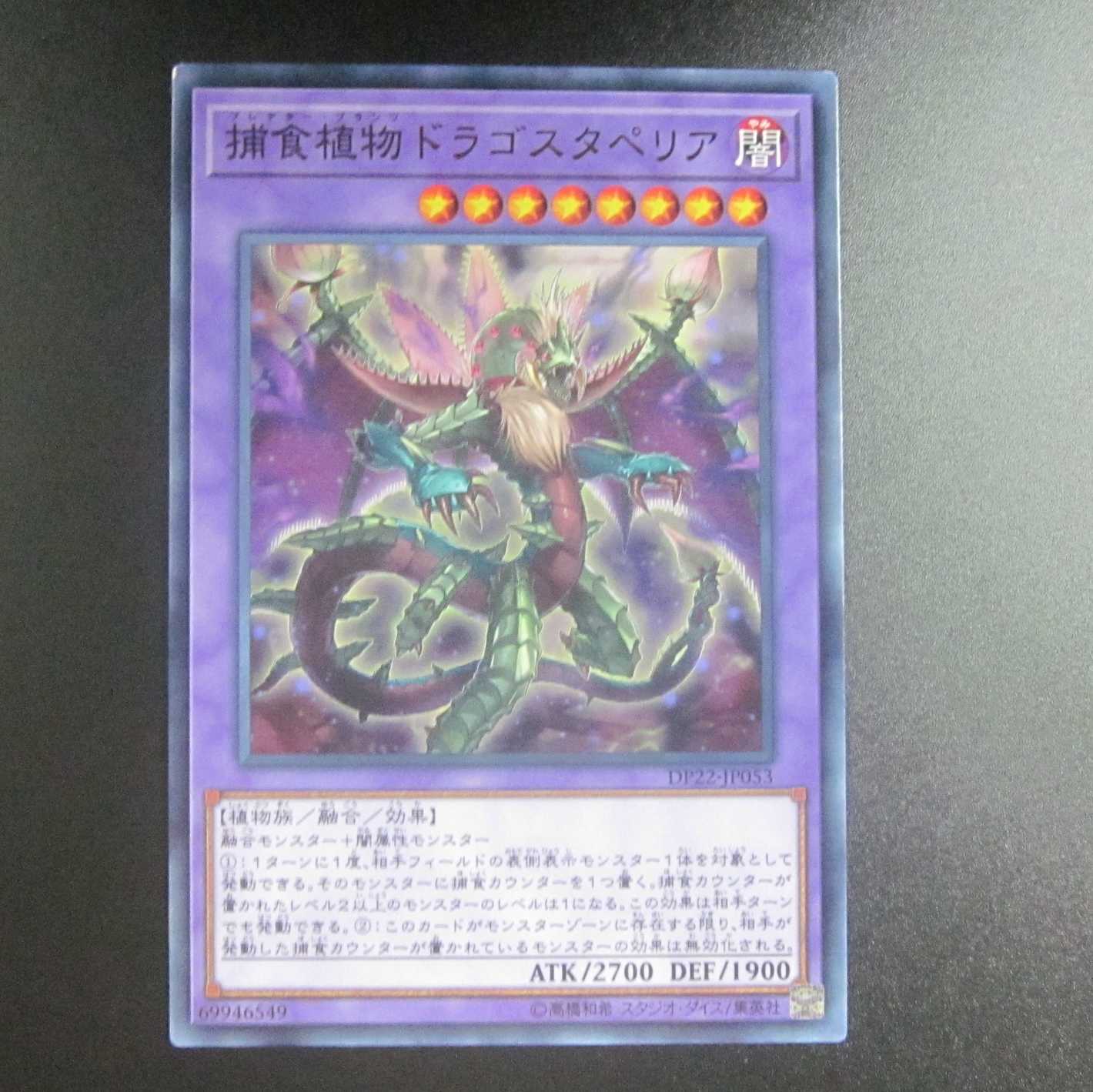 Predaplant Dragostapelia Normal DP22-JP053