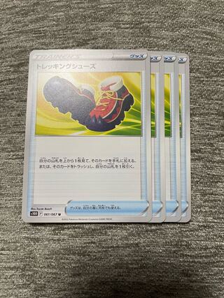 Trekking Shoes Oguchi Swamp