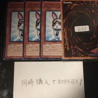 Rescue Rabbit 11838 1枚