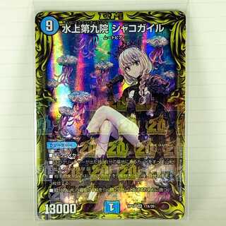 Waterjo Ninth Institute Shakogile (20th Rare Spec.)