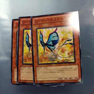 Reed Butterfly Normal