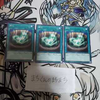 1062　孵化3枚set