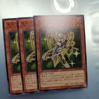 星因士 シャム ノーマル　☆