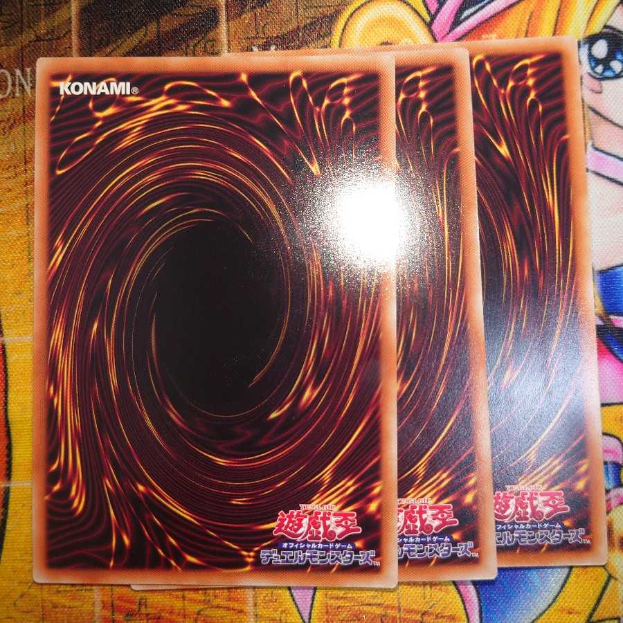 サイコ・エンド・パニッシャー(ホロ、シク、ウル)