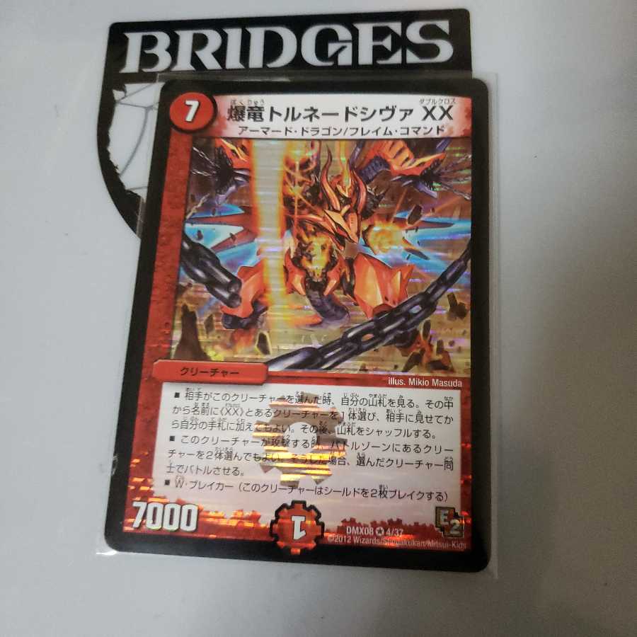 トルネードシヴァXX