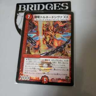 トルネードシヴァXX