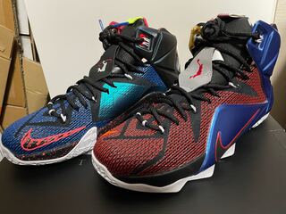 NIKE LEBRON XII SE What The 28.5cm 28.5cm