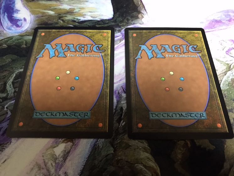 睡蓮の原野　2枚