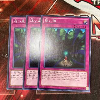 迷い風 ノーマル　3枚　特価品