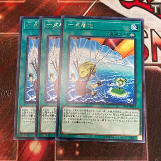 Pinpoint Landing Rare 3 copies Special Price