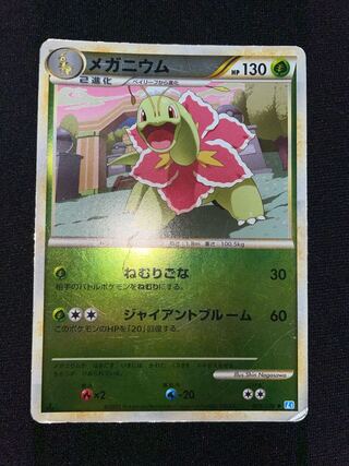Meganium Mirror