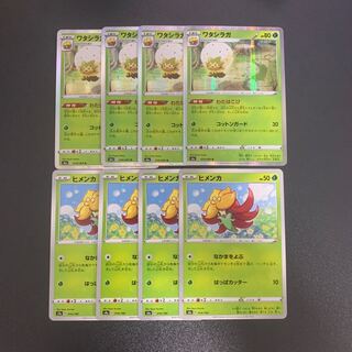 ワタシラガ ヒメンカ 進化セット