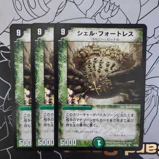 Fortress Shell 3-piece set