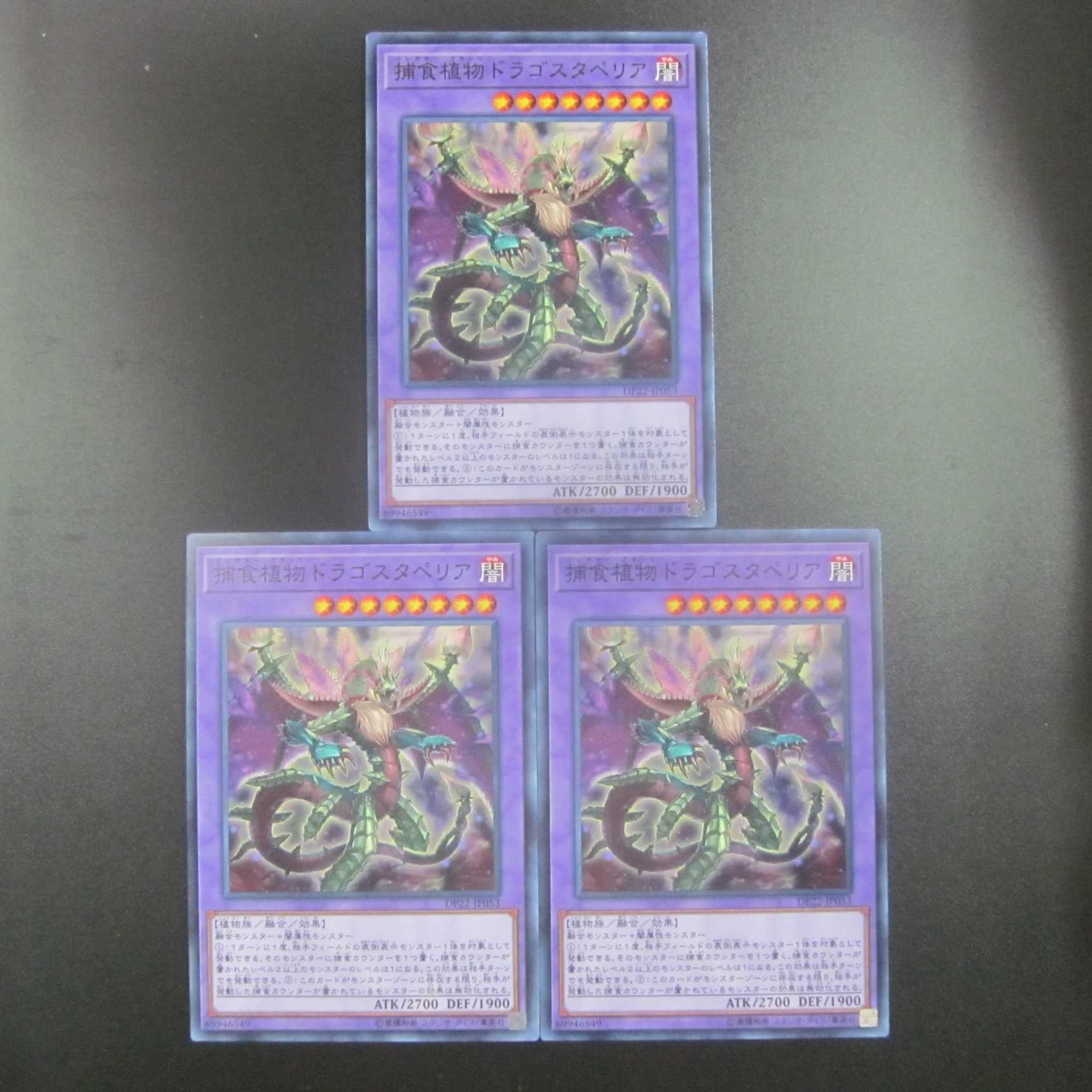 Predaplant Dragostapelia Normal DP22-JP053 Set of 3