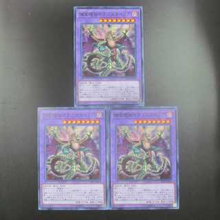 Predaplant Dragostapelia Normal DP22-JP053 Set of 3