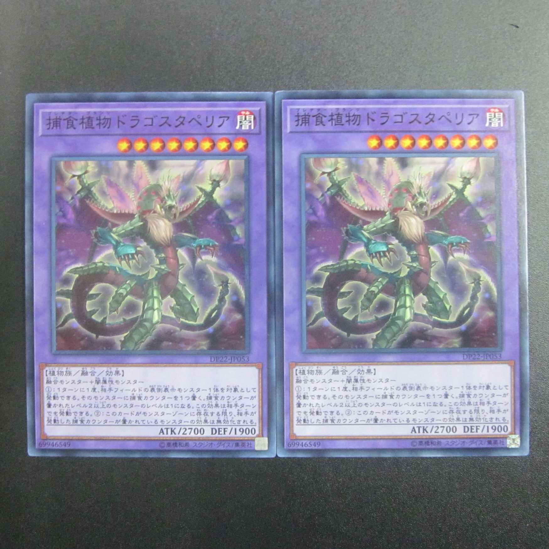 Predaplant Dragostapelia Normal DP22-JP053 Set of 2