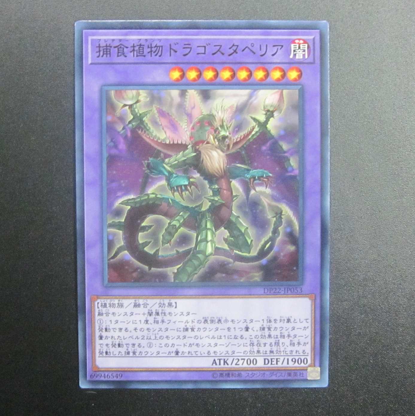 Predaplant Dragostapelia Normal DP22-JP053