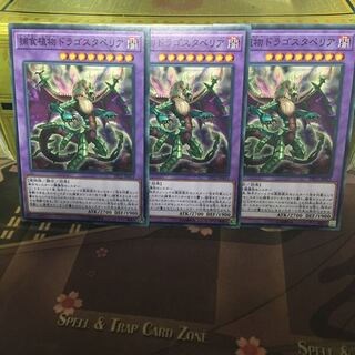 アンコウ 捕食植物ドラゴスタペリア 3枚