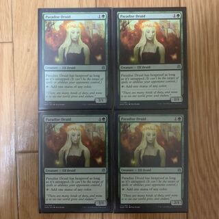 Paradise Druid pardise druid