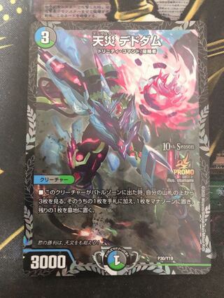 Natural disaster Dedham