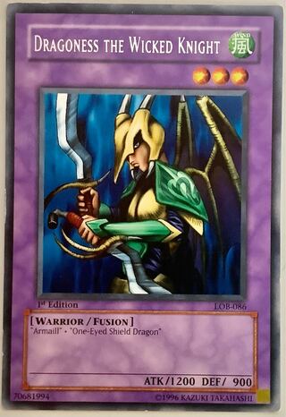 DRAGONESS THE WICKED KNIGHT/Dragoness the Wicked Knight