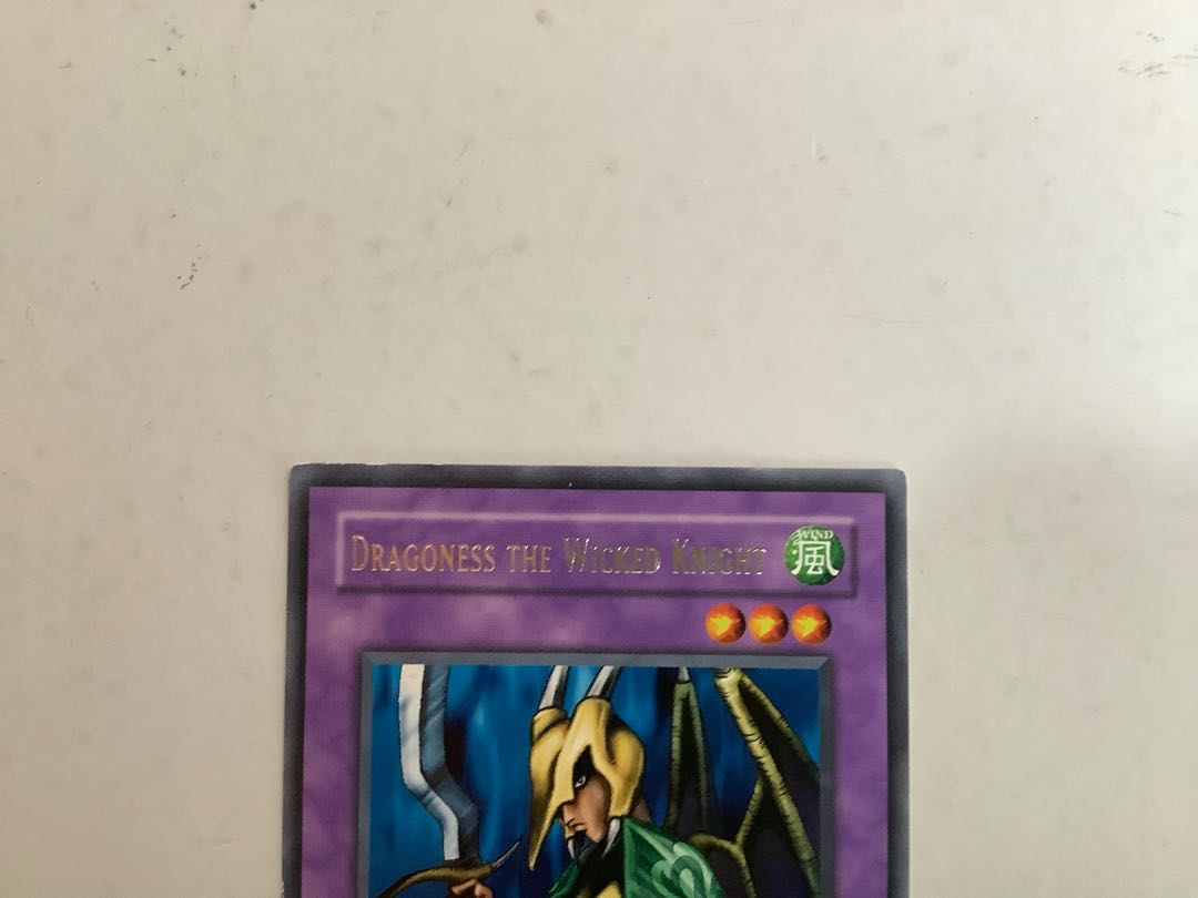 DRAGONESS THE WICKED KNIGHT/Dragoness the Wicked Knight