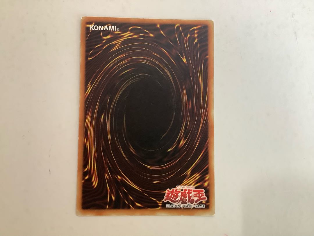 DRAGONESS THE WICKED KNIGHT/Dragoness the Wicked Knight