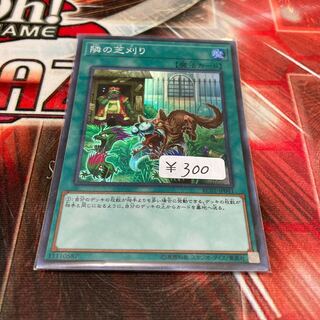 隣の芝刈り スーパーレア　1枚