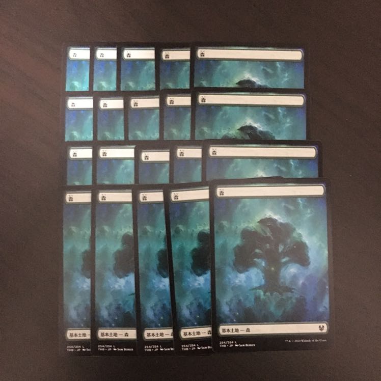 テーロス 土地 森 20枚