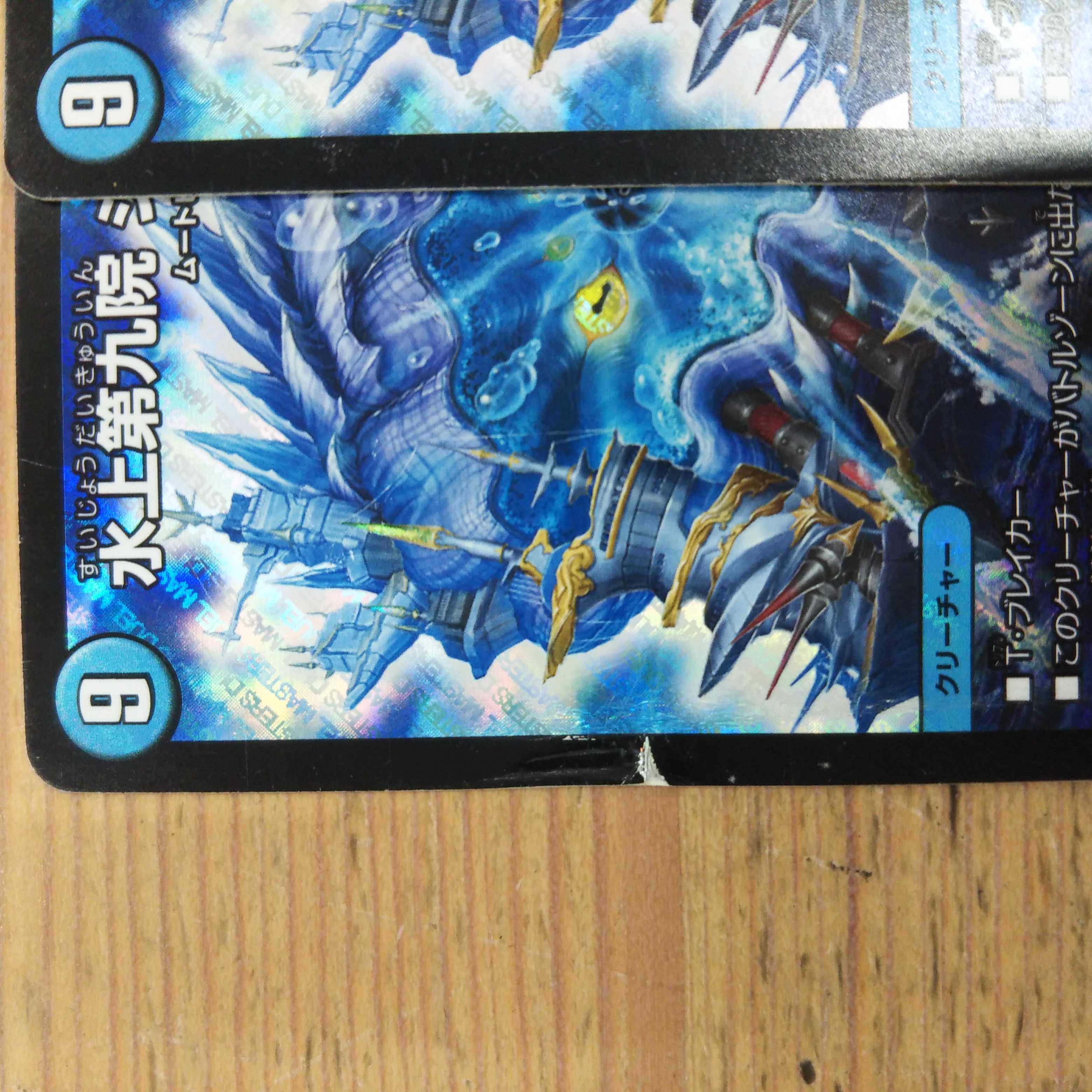 Waterjo Ninth Institute, set of 2 shako gilets