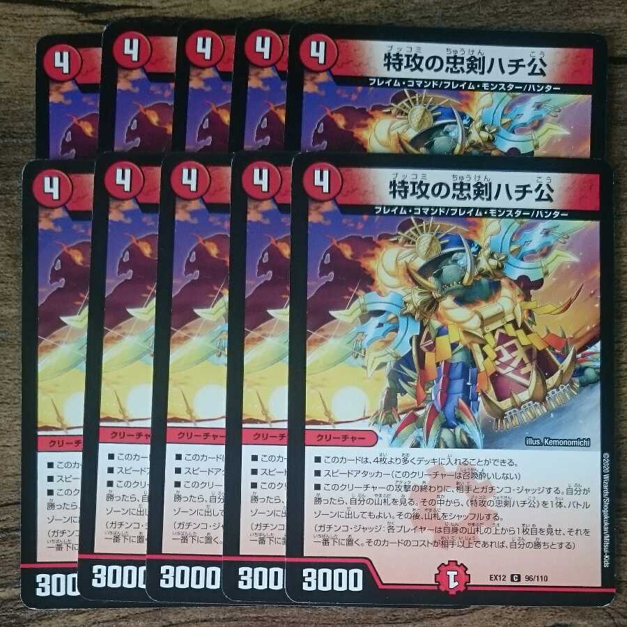 Hachiko, the loyal dog of suicide attack