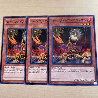 Lonefire Blossom♧843