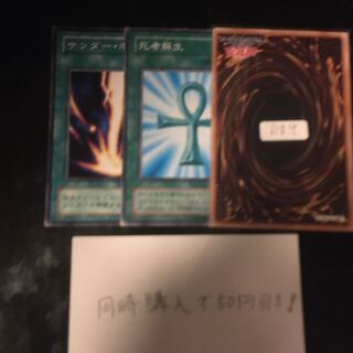 死者蘇生　サンダー・ボルト　11960