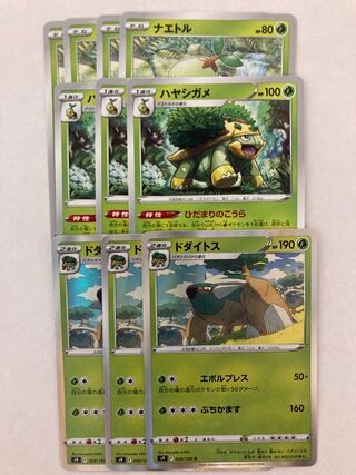 Torterra Evolution Set