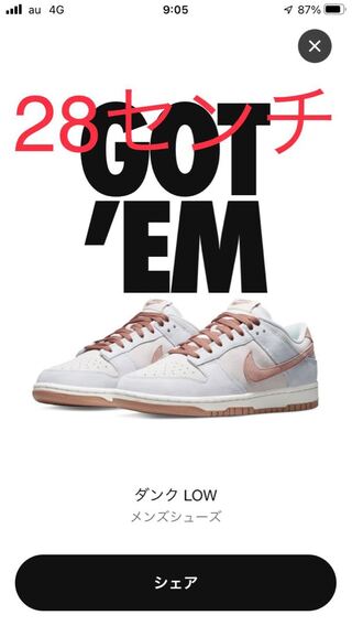 Nike Dunk Low Fossil Rose  ナイキ　ダンクロー　28 28cm