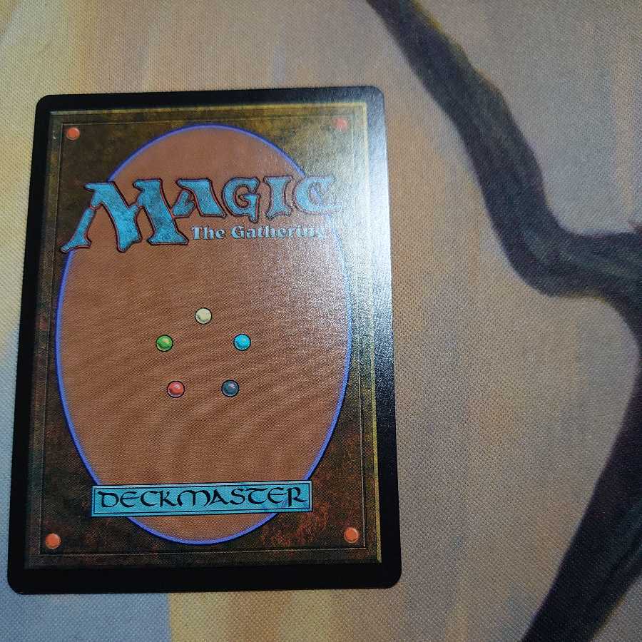 Old frame Misty Rainforest