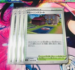 Training Court, set of 4, with white cover.