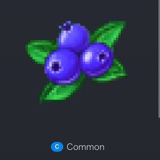 ブルーベリー Lv60