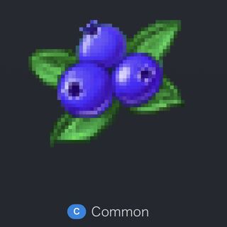 Lv60 ブルーベリー