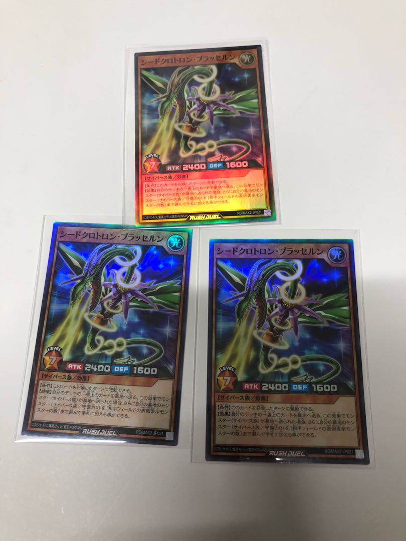 Seed Crotron Brasserne Set of 3